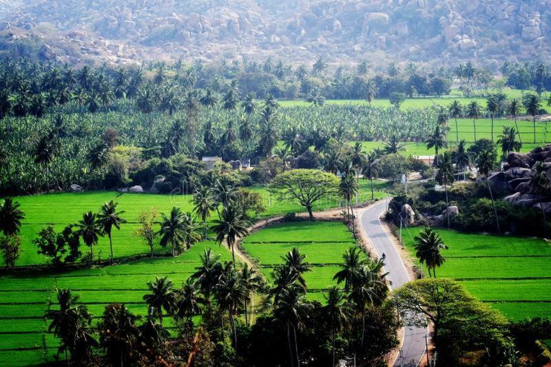 Lee Homestay Hampi Eksteriør billede